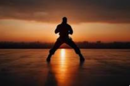 Learn Professional Martial Arts 2026 img